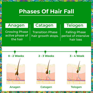 HAIR GROWTH KIT - HAIR PROTEINZ ACTIVATOR Rosemary Hair Growth Serum with Rosemary Anti Hair-fall Conditioning Shampoo | Suitable For All Hair Type