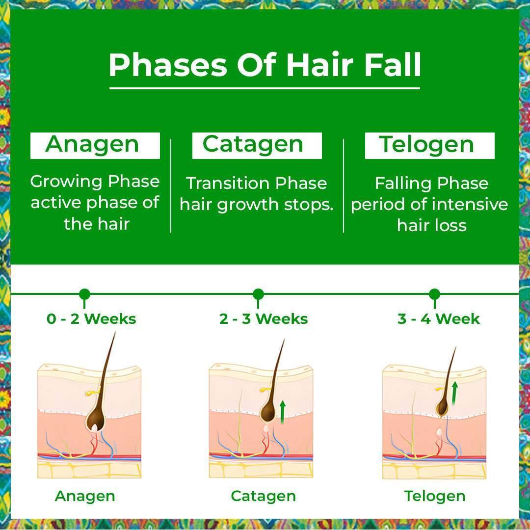 Hair Proteinz Rosemary Hair Growth Oil, Shampoo & Serum - Rosemary Hair Growth Kit - passionindulge