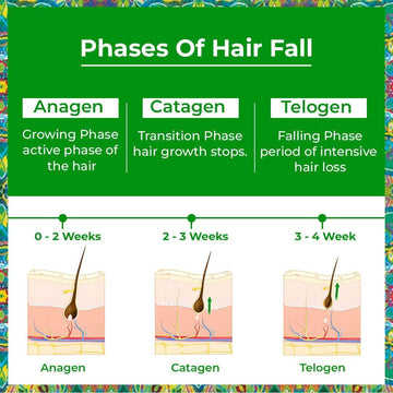 HAIR PROTEINZ ACTIVATOR Rosemary Hair Growth Serum with Redensyl &  Saw Palmetto | Passion Indulge Hair Growth Serum Rosemary HAIR PROTEINZ ACTIVATOR with Redensyl, Rosemary, Brahmi & Saw Palmetto| Water based Hair Serum for Women & Men - 50 ML