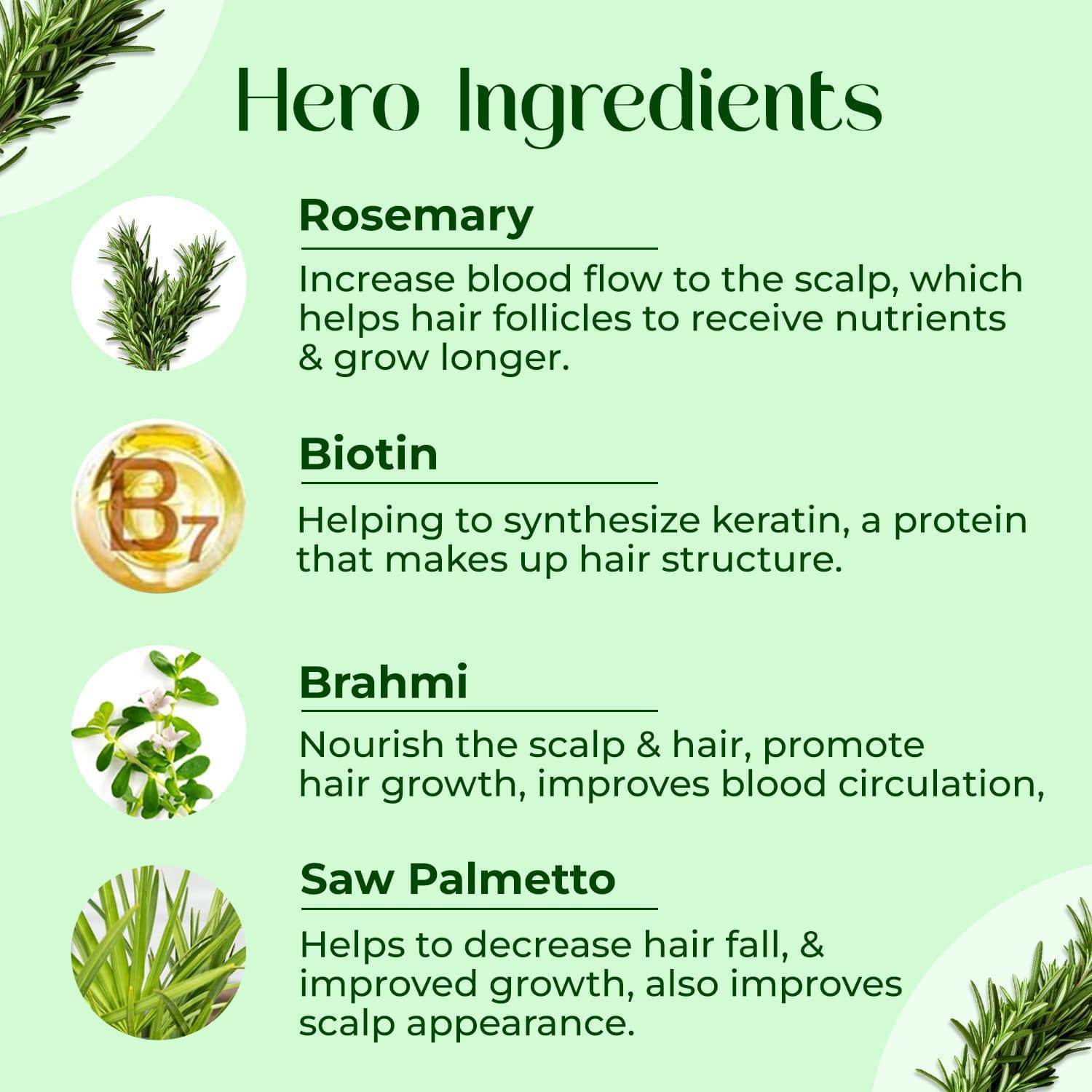 Hair Proteinz Rosemary Hair Growth Oil, Shampoo & Serum - Rosemary Hair Growth Kit - passionindulge