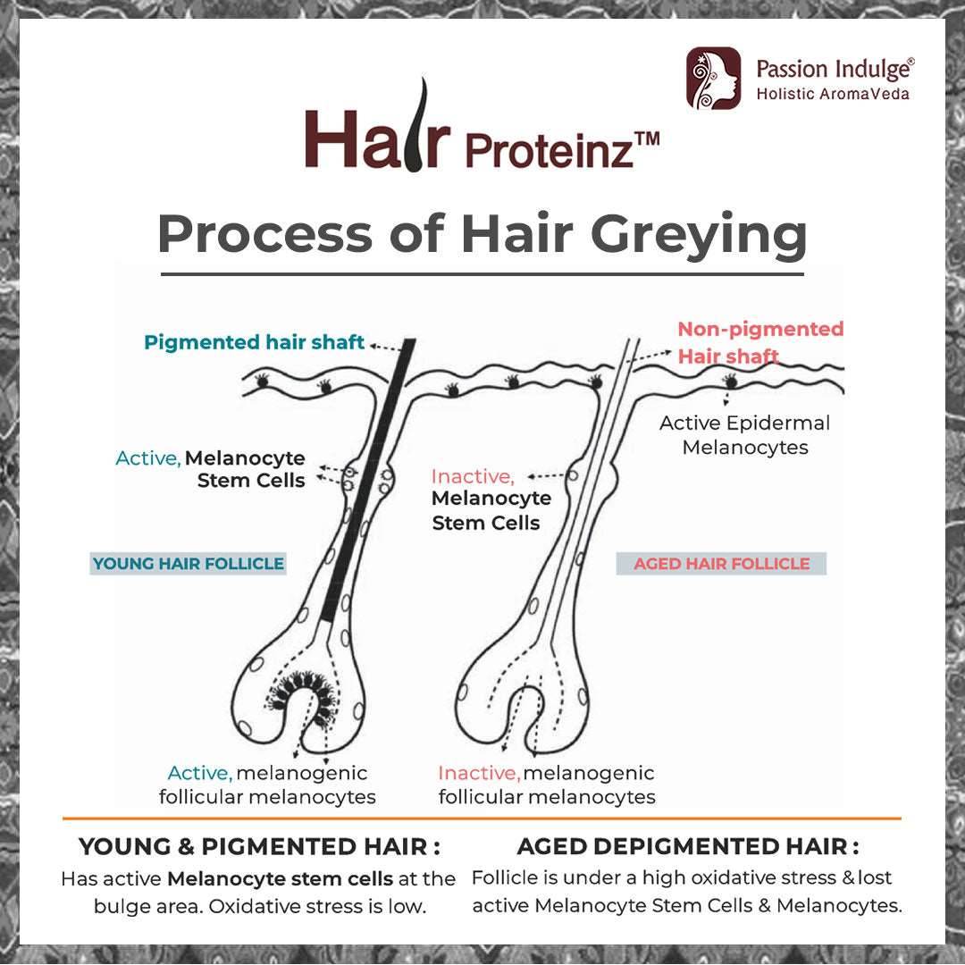 HAIR PROTEINZ ANTI-GREY HAIR SERUM - PACK OF 2 with Arcolys, Black Tea & Amla | Reduces White Hair | Restore Natural Color - passionindulge