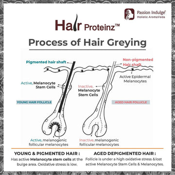 HAIR PROTEINZ ANTI-GREY HAIR SERUM with  Arcolys, Black Tea & Amla | Reduces White Hair | Restore Natural Color