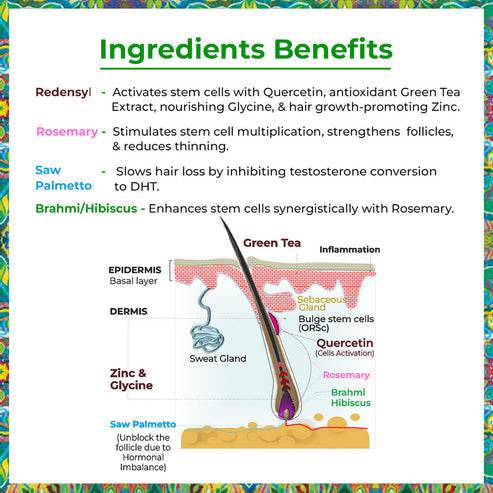 Hair Growth Kit With Anti-Greying Arcolys For Greying Hair , Rosemary Hair Growth Activator Serum & Rosemary Hair Fall Control Shampoo - passionindulge