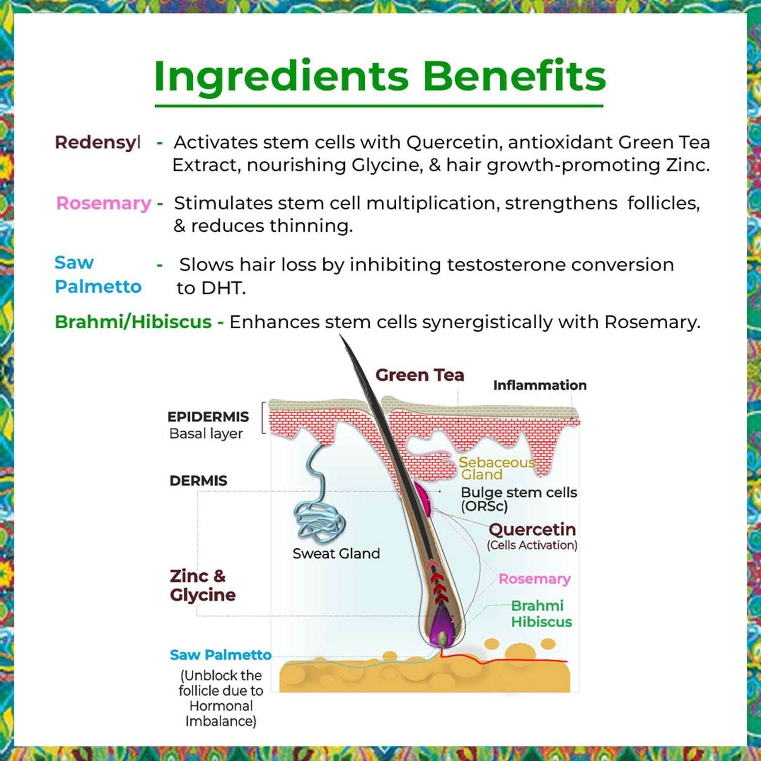 Hair Proteinz Rosemary Hair Growth Oil, Shampoo & Serum - Rosemary Hair Growth Kit - passionindulge