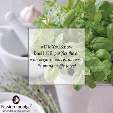 Natural Tulsi (Basil) Essential Oil For Radiance Skin | Improve Skin Tone | Vegan |100% Pure & Natural  10ml